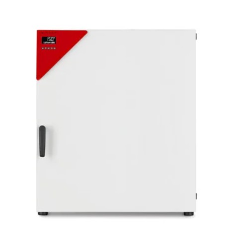 Шкаф сушильный FED 260, BINDER