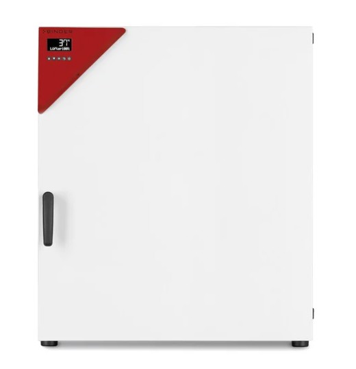 Термостат BF 260, BINDER