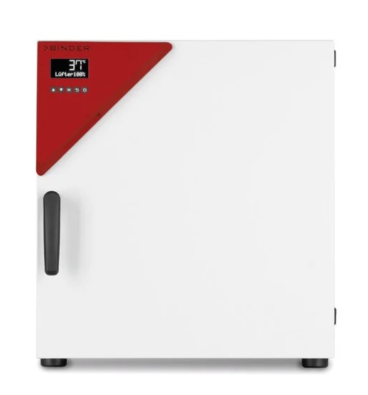 Термостат BD 56, BINDER